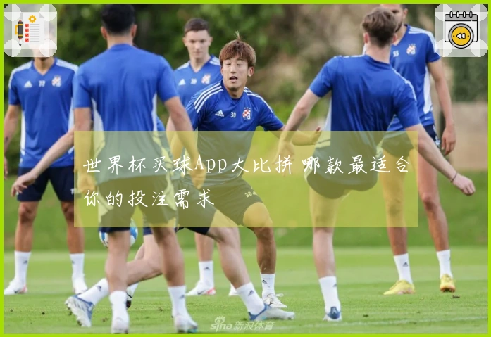 世界杯买球App大比拼 哪款最适合你的投注需求