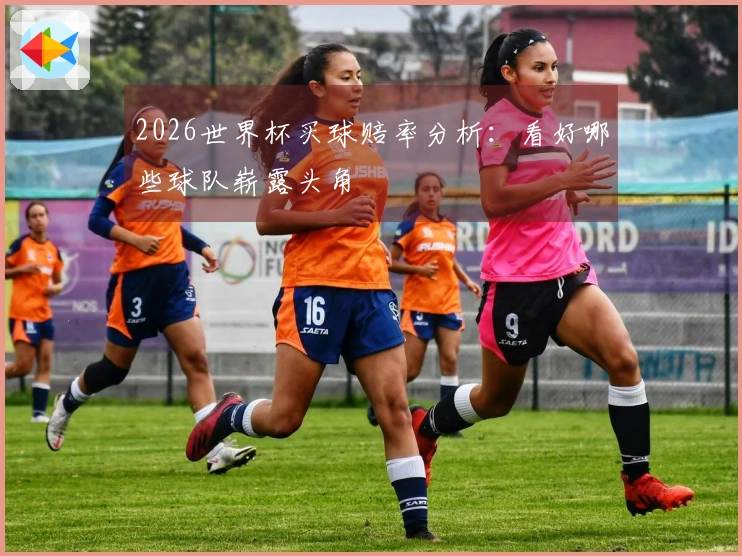 2026世界杯买球赔率分析：看好哪些球队崭露头角