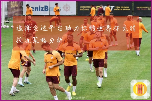 选择合适平台助力你的世界杯竞猜投注策略分析